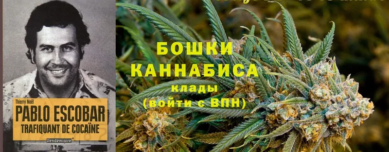 Канабис Ganja  закладки  Малоярославец 